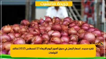 قفزة جديدة.. أسعار البصل في سوق العبور اليوم الأربعاء 27 أغسطس 2025 تخالف التوقعات 1